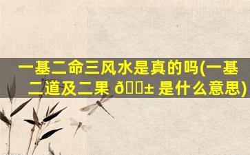 一基二命三风水是真的吗(一基二道及二果 🐱 是什么意思)